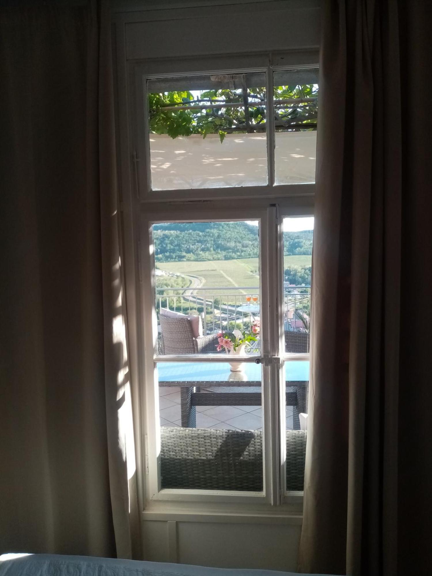 Studio Apartman Bel Vedere Motovun Ngoại thất bức ảnh