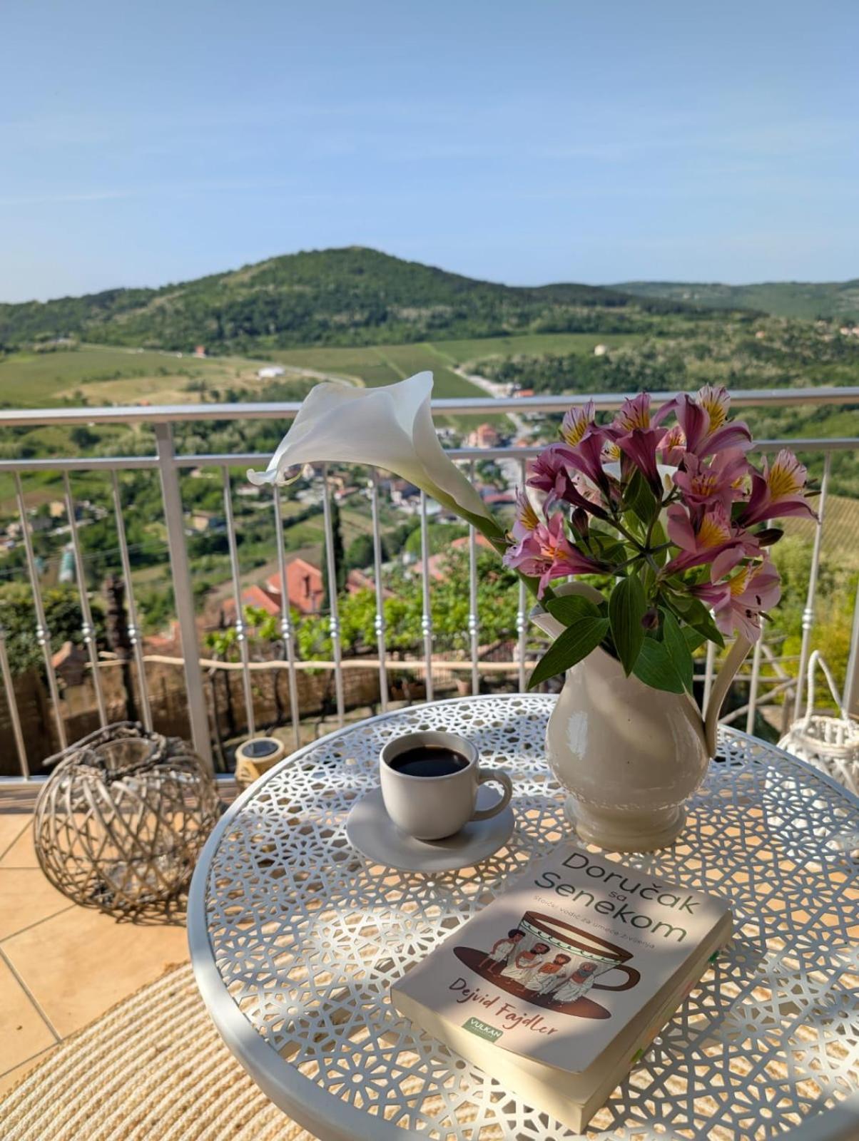 Studio Apartman Bel Vedere Motovun Ngoại thất bức ảnh